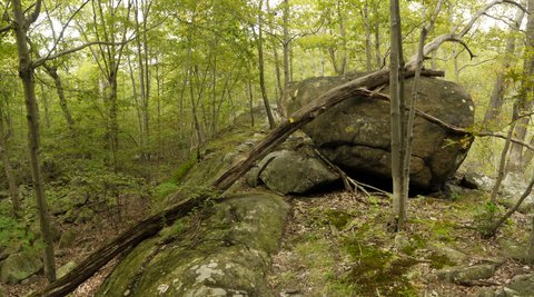 Scramble Out of Valley of Dry Bones, Suffern-Bear Mountain Trail, Harriman State Park, Rockland County, New York