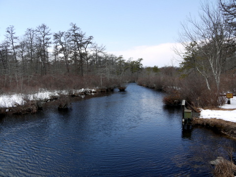 Connetquot River from Bunces Bridge, Connetquot River State Park Preserve, Suffolk County, New York