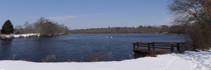 Main pond, Connetquot River State Park Preserve, Suffolk County, New York