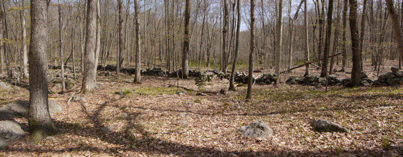 Stone wall, Devil's Den Preserve, Fairfield County, Connecticut