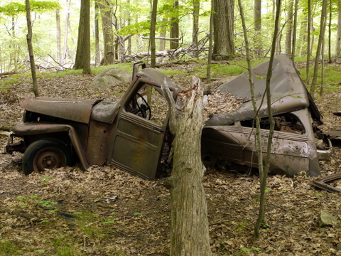 Willys Jeep Station Wagon, Ramapo Mountain State Forest, Bergen & Passaic Counties, New Jersey