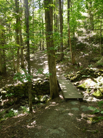 Small bridge on the Monroe Trail, Camel's Hump State Park, Chittenden & Washington Counties, Vermont