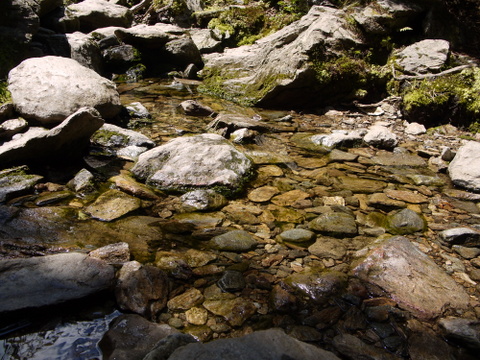 Rocks in streambed, Camel's Hump State Park, Chittenden & Washington Counties, Vermont