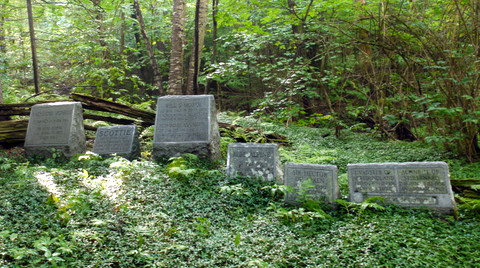 Tombstones, Camel's Hump State Park, Chittenden & Washington Counties, Vermont