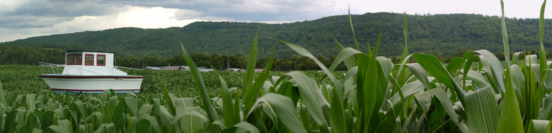 Panorama, Great Vermont Corn Maze, Danville, Caledonia County, Vermont