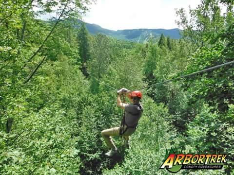 Charlie zip-lining, ArborTrek Canopy Adventures, Jeffersonville, Lamoille County, Vermont