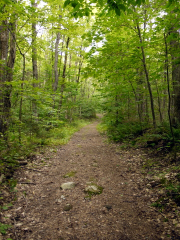 Bucklin Trail trailhead, Killington Peak, Rutland County, Vermont