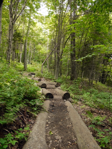 Bucklin Trail, Killington Peak, Rutland County, Vermont