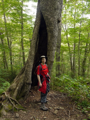 Batya in front of hollow tree, Killington Peak, Rutland County, Vermont