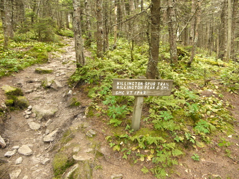 Signpost, Killington Peak, Rutland County, Vermont