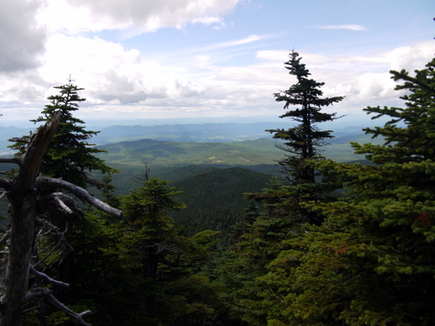 Scenery from the Killington Spur Trail, Killington Peak, Rutland County, Vermont