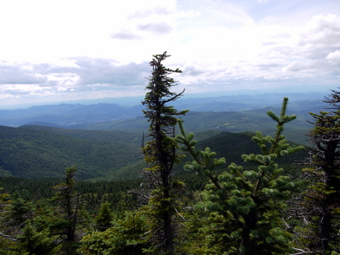 Scenery from Killington Spur Trail, Killington Peak, Rutland County, Vermont