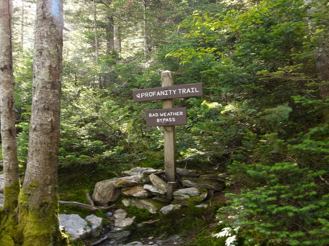 Bottom of the Profanity Trail, Mt. Mansfield, Chittenden County, Vermont