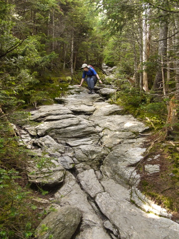 Scrambling down the Long Trail, Mt. Mansfield, Chittenden County, Vermont