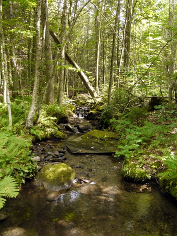 Stream, Laraway Mountain, Long Trail State Forest, Lamoille County, Vermont
