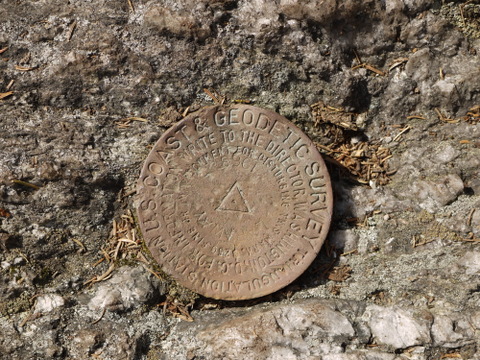 Survey marker at summit of Laraway Mountain, Long Trail State Forest, Lamoille County, Vermont