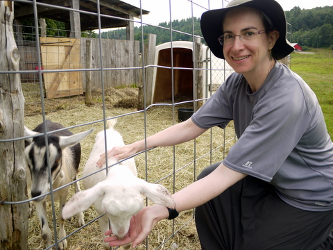 Batya feeds goats, Stowe, Lamoille County, Vermont