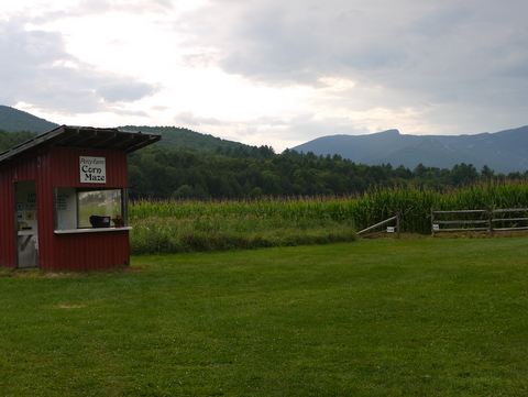 Percy Farm corn maze, Stowe, Lamoille County, Vermont