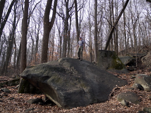 Charlie climbs a boulder, Sourland Mountain Preserve, Somerset County, New Jersey