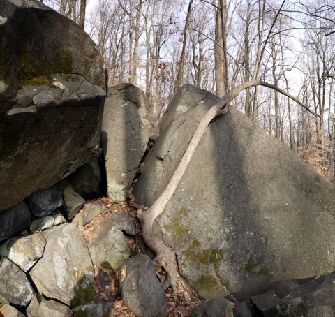 Boulders, Sourland Mountain Preserve, Somerset County, New Jersey