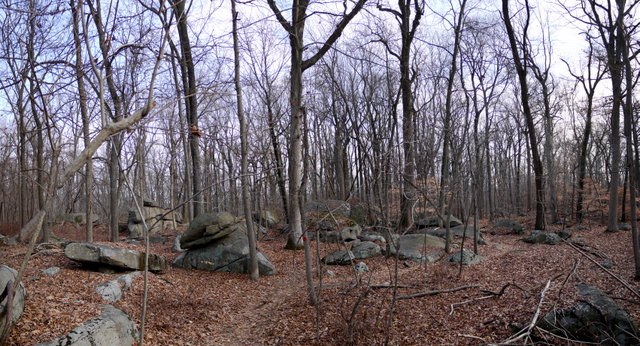 Boulder field, Sourland Mountain Preserve, Somerset County, New Jersey