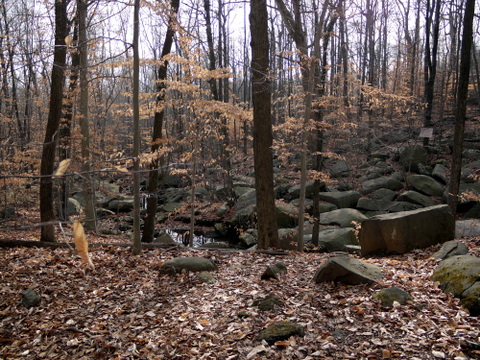 Roaring Brook, Sourland Mountain Preserve, Somerset County, New Jersey
