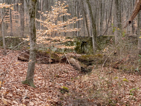 Old wall, Sourland Mountain Preserve, Somerset County, New Jersey