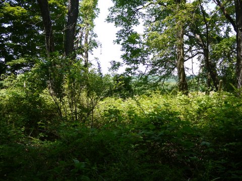 Scenic view from Deer Path Trail, Allamuchy Mountain State Park, Sussex County, New Jersey