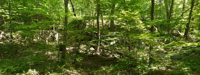Rocky outcrop, Allamuchy Mountain State Park, Sussex County, New Jersey