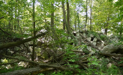 Rocky outcrop, Allamuchy Mountain State Park, Sussex County, New Jersey