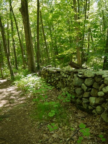 Rock wall, Trout Brook Valley State Park Preserve, Fairfield County, Connecticut