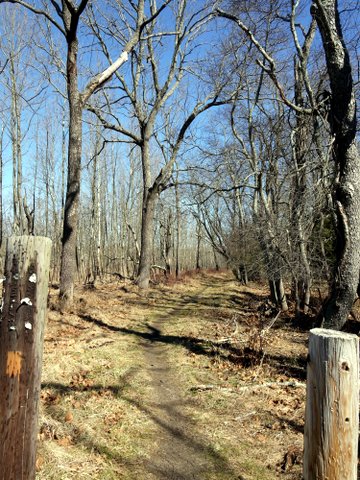 Start of Orange Trail, Allaire State Park, Monmouth County, New Jersey