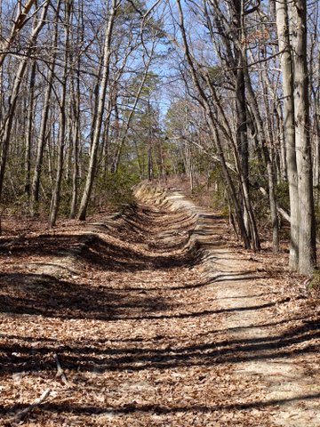 Eroded trail, Allaire State Park, Monmouth County, New Jersey