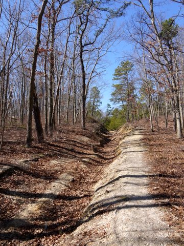 Eroded trail, Allaire State Park, Monmouth County, New Jersey