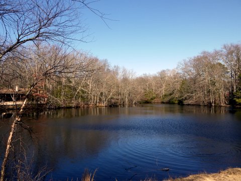 Pond, Allaire State Park, Monmouth County, New Jersey