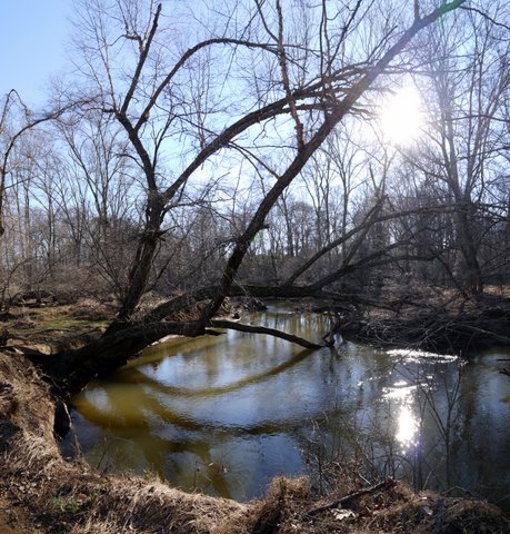 Manasquan River, Allaire State Park, Monmouth County, New Jersey