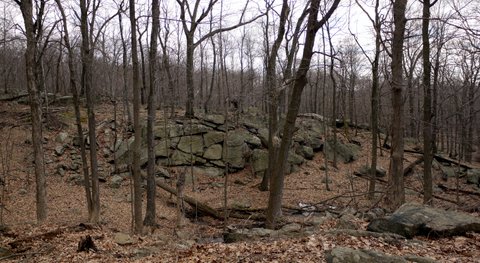 Rock wall, Ramapo Mountain State Park, Bergen & Passaic Counties, New Jersey