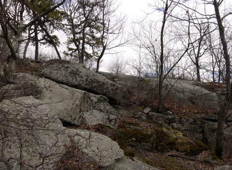 Exposed rock, Ramapo Mountain State Park, Bergen & Passaic Counties, New Jersey