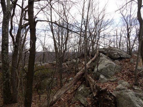 Wood and stone, Ramapo Mountain State Park, Bergen & Passaic Counties, New Jersey