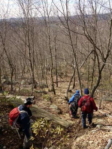 Descending on the yellow trail, Ramapo Mountain State Park, Bergen & Passaic Counties, New Jersey