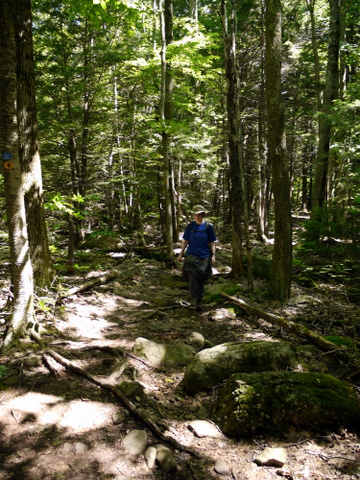Batya hiking on the Escarpment Trail, Kaaterskill Wild Forest, Greene County, New York