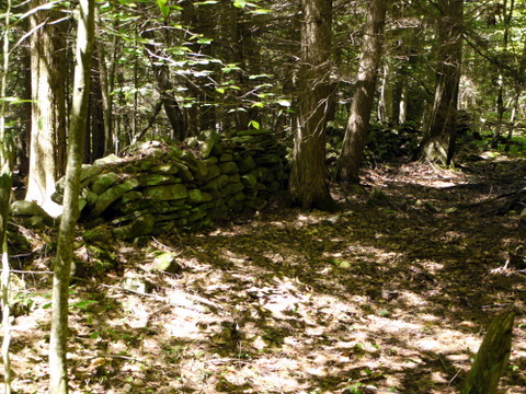 Stone wall, Kaaterskill Wild Forest, Greene County, New York