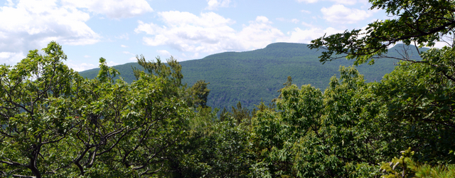 Kaaterskill High Peak and Round Top, Kaaterskill Wild Forest, Greene County, New York