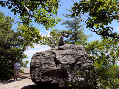 Charlie on top of Boulder Rock, Kaaterskill Wild Forest, Greene County, New York