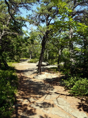 Escarpment Trail, Kaaterskill Wild Forest, Greene County, New York