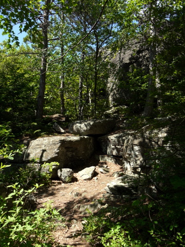 Rock wall, Kaaterskill Wild Forest, Greene County, New York