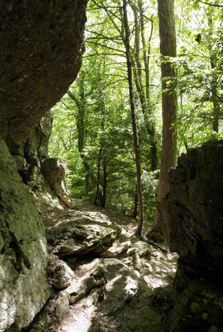 Rock wall, Kaaterskill Wild Forest, Greene County, New York