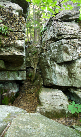 Break in rock wall, Kaaterskill Wild Forest, Greene County, New York