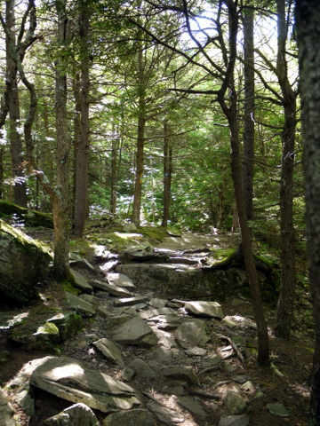 Rocky part of Escarpment Trail, Kaaterskill Wild Forest, Greene County, New York
