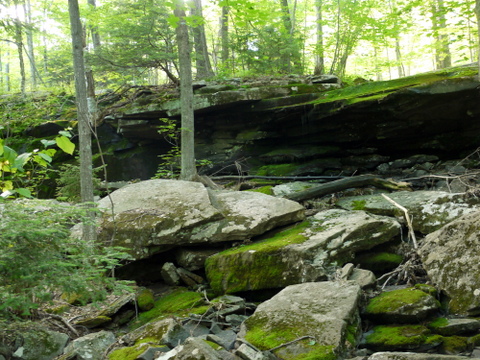 Moss-covered rocks, Kaaterskill Wild Forest, Greene County, New York